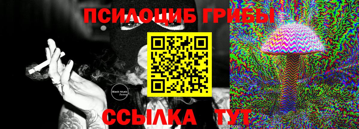 Галлюциногенные грибы прущие грибы Советская Гавань