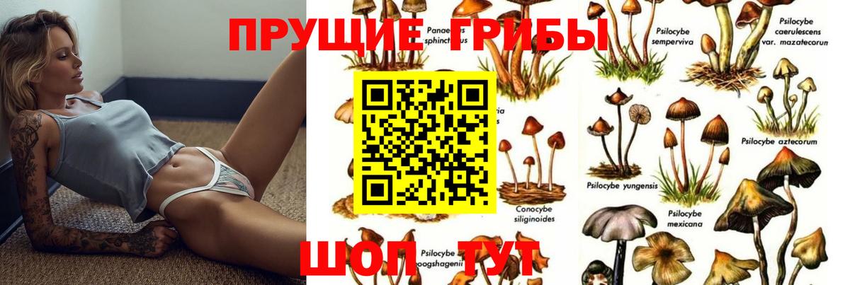 Псилоцибиновые грибы MAGIC MUSHROOMS  Вход с VPN  Советская Гавань 