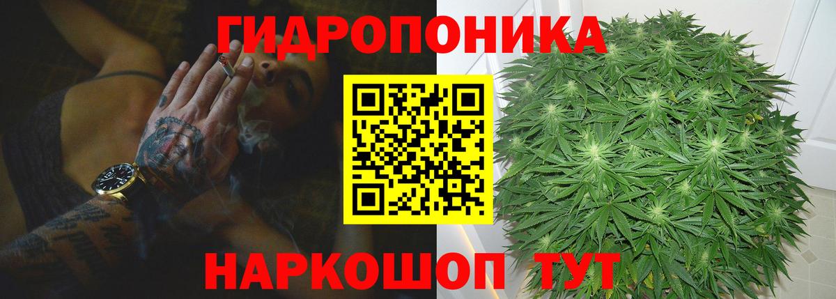 Конопля OG Kush  Бошки Шишки MAZAR  Вход с VPN  Советская Гавань  Марихуана ГИДРОПОН 